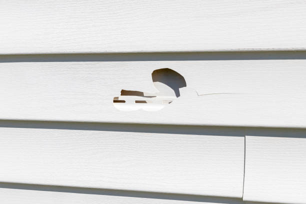 Professional Siding Installation & Repair in Kaufman, TX